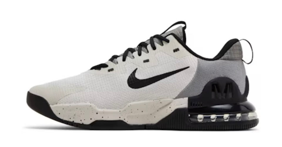 Nike Air Max Alpha Trainer 5 ‘Light iron’